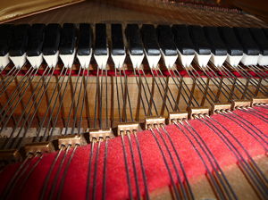 grand piano dampers resting on strings